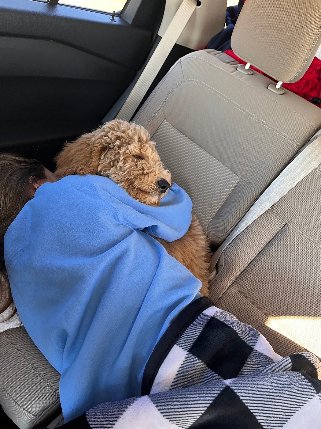 Young couple holding their new red Goldendoodle puppy