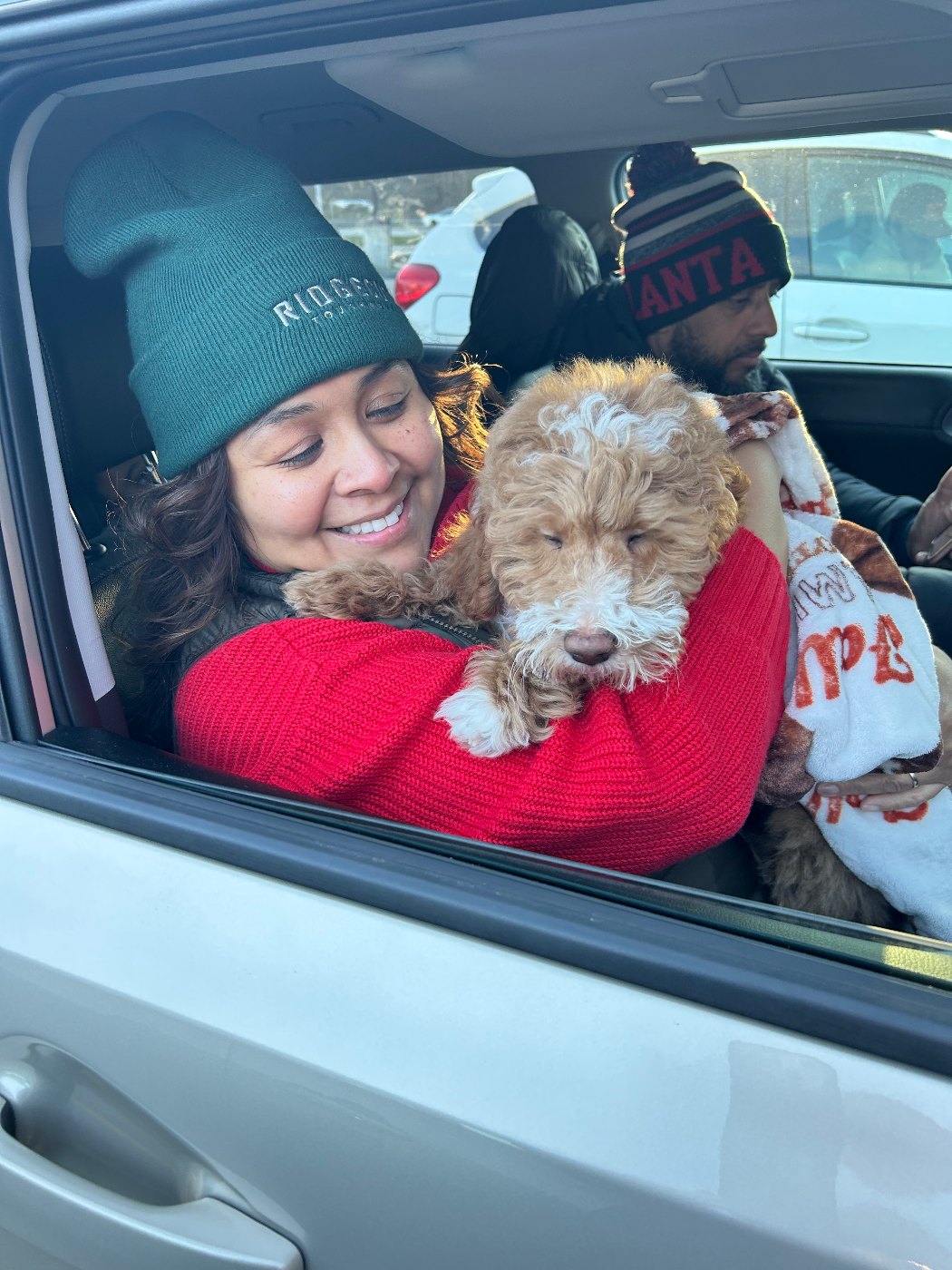Red and white Goldendoodle with a bow beside a big fall leaf