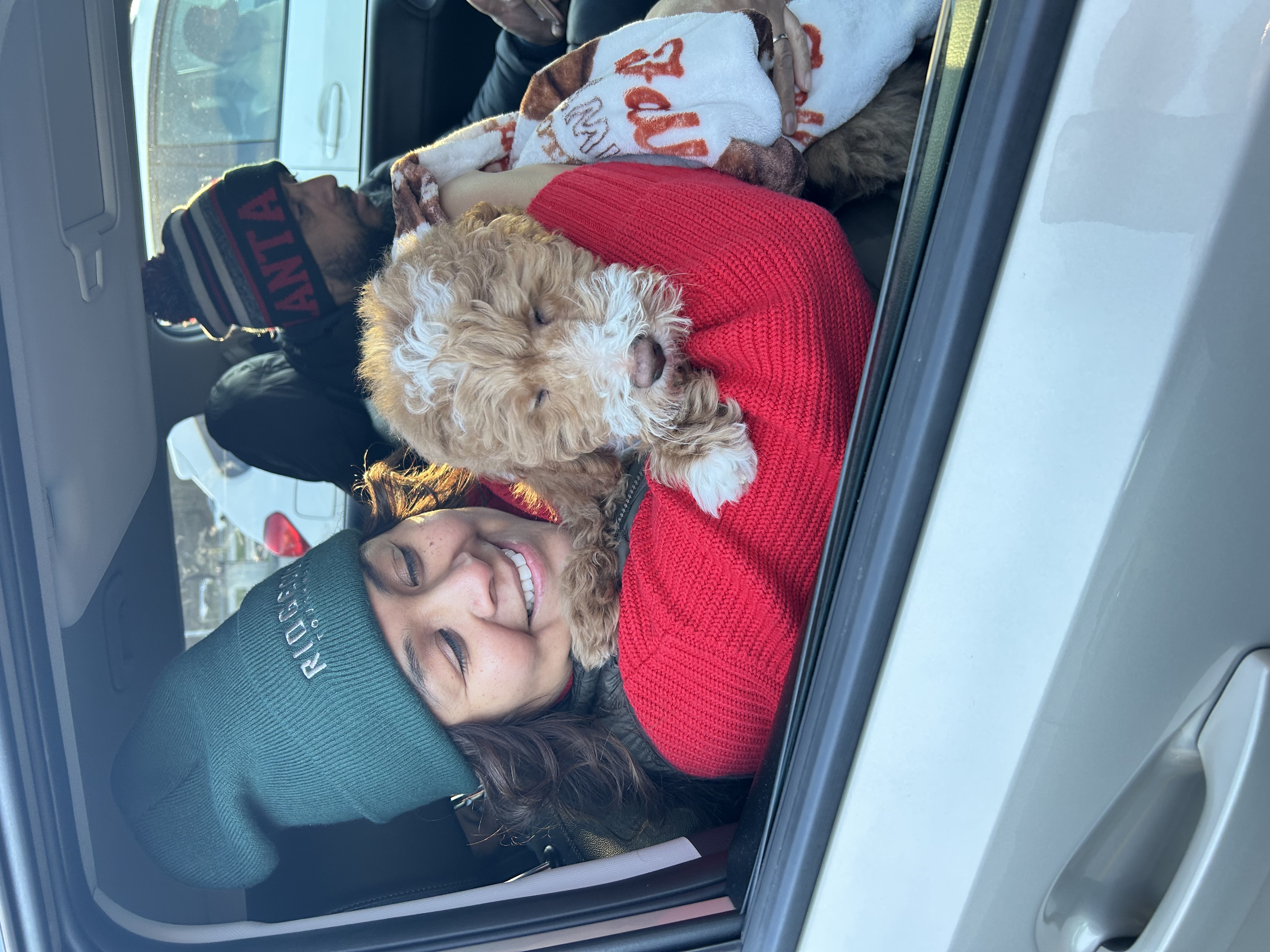Red and white Goldendoodle with a bow beside a big fall leaf